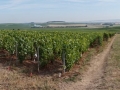 Anglija, Škotska, Irska