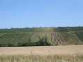 Anglija, Škotska, Irska