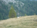 Nockalmstrasse