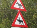 Nordkapp