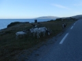 Nordkapp