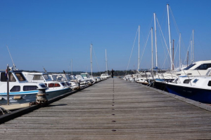 Otok Krk