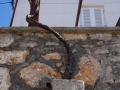 Krk