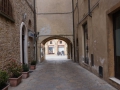 Volterra