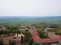 Volterra