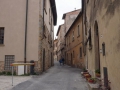 Volterra