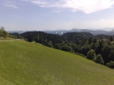 Potep po Sloveniji