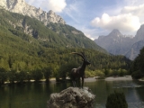 Potep po Sloveniji