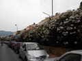 Provansa in švicarske Alpe