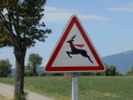 Provansa in švicarske Alpe