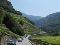 Provansa in švicarske Alpe