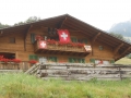 Provansa in švicarske Alpe