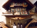 Provansa in švicarske Alpe