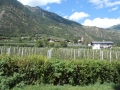 Provansa in švicarske Alpe