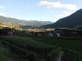 Provansa in švicarske Alpe