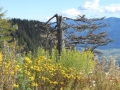 Villacher Alpenstrasse