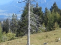 Villacher Alpenstrasse