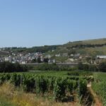 Vinogradi ob meji Nemčija - Luksemburg