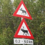 Opozorila pred severnimi jeleni (spodaj) in losi (zgorajj)